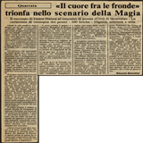 "Il cuore fra le fronde"  trionfa al...